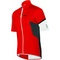 sample